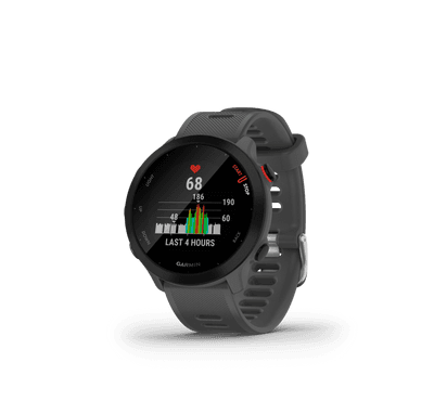 Garmin Forerunner 55 Large Monterra/Grey